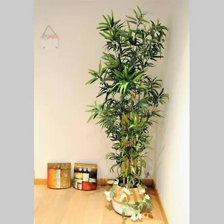 Lovely Loft In Centro - Caruggio Di Loano- Appartement Loano